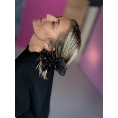 Voila Hårklemme med store sløjfer Fra le mosch